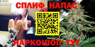 сатива Славянск-на-Кубани