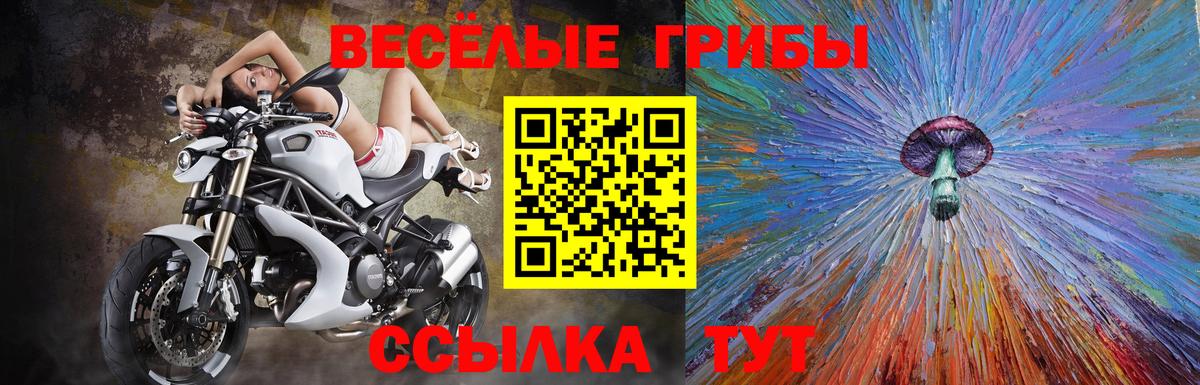 Галлюциногенные грибы Psilocybine cubensis Армавир