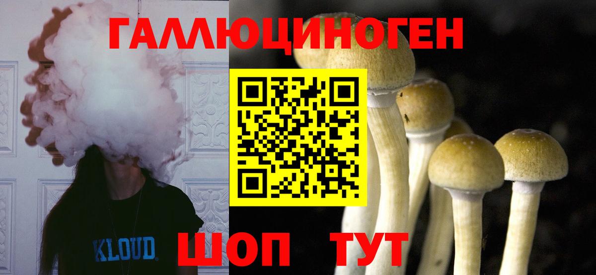 Галлюциногенные грибы прущие грибы  Вход с VPN  купить наркотик  Армавир 